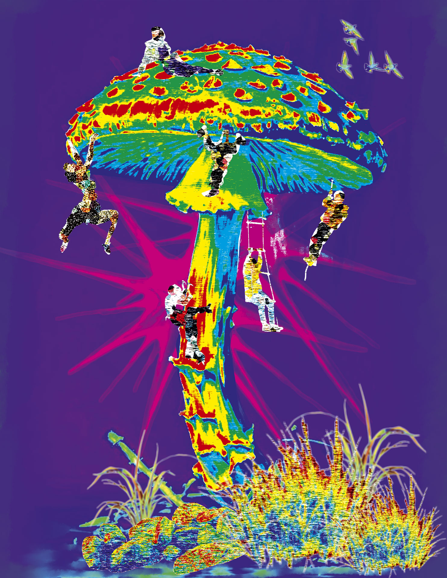 Marshall Mushroom Hunter